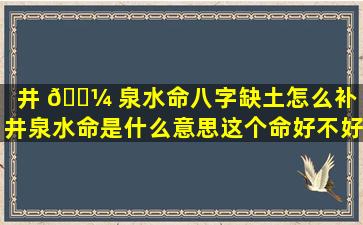 井 🌼 泉水命八字缺土怎么补「井泉水命是什么意思这个命好不好」